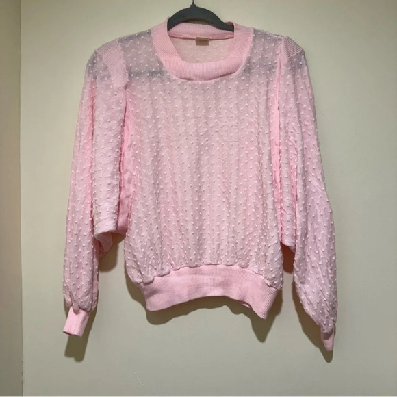 Women’s Vintage Retro Coquette  Singe Stitch Pink Eyelet Long Sleeve Sheer Top - Picture 1 of 14